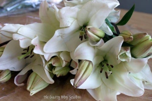 close up of white lilies