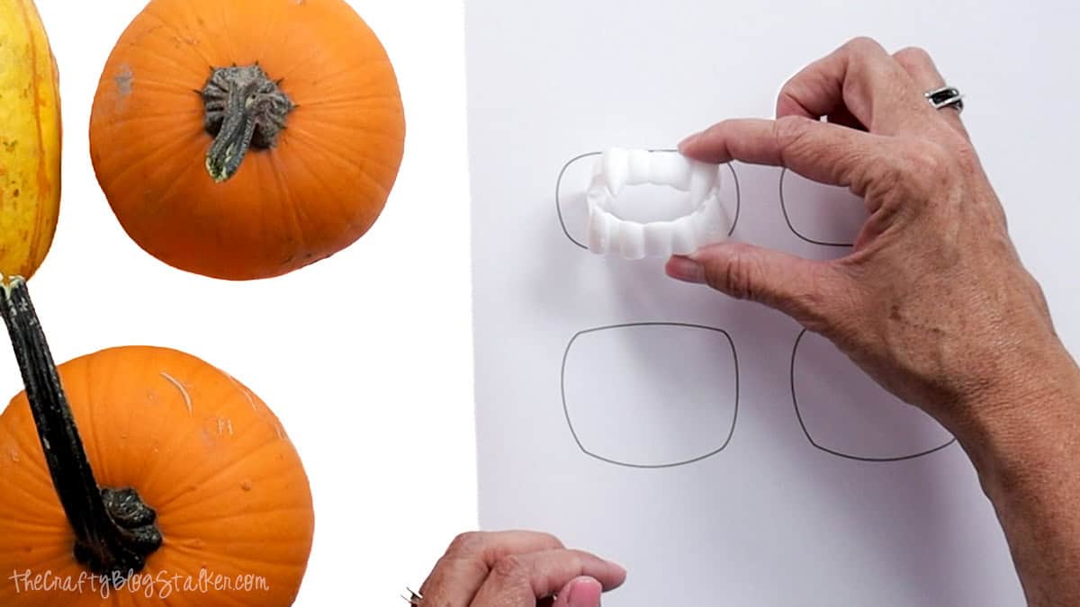 Using plastic vampire fangs to trace mouth openings on paper before carving the mini pumpkins and gourds.