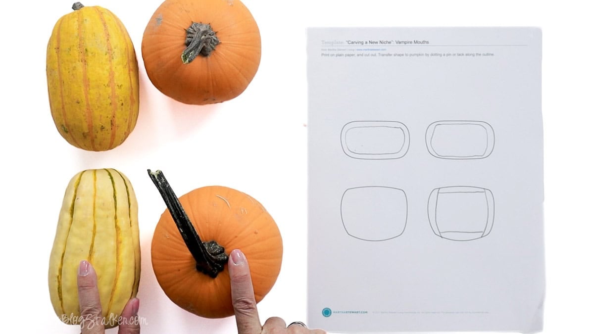 Mini pumpkins and gourds beside a vampire mouth template used to choose the best shape and size for each carved mouth.