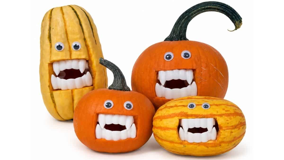 Four vampire pumpkins and gourds with googly eyes and plastic fangs, creating funny Halloween tabletop decorations.