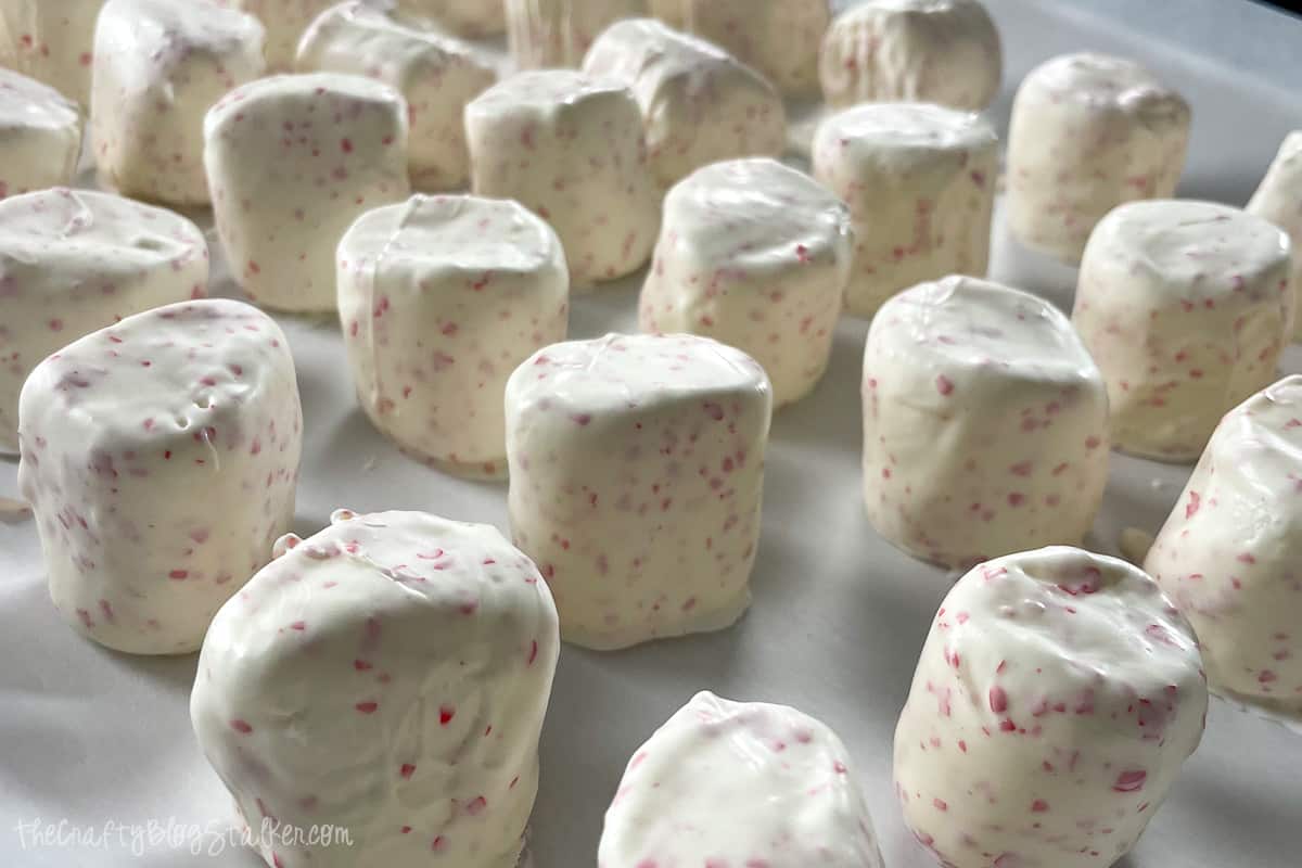 Peppermint chocolate-covered marshmallows drying on a baking sheet.