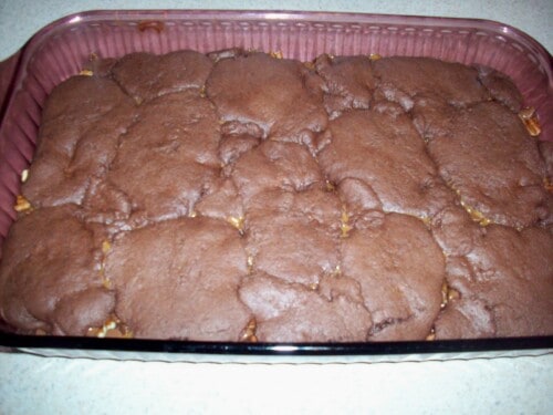 baked brownies after coming out of the oven