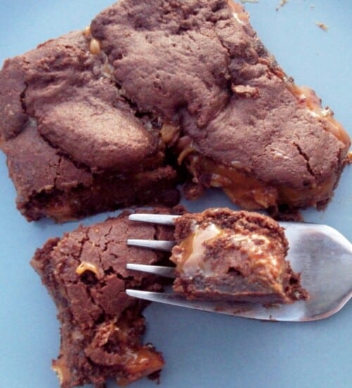 brownie square and a fork