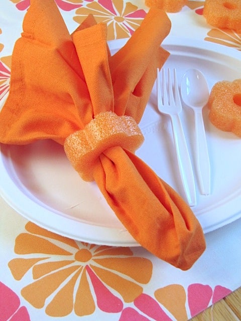 image of Pool Noodle Napkin Rings