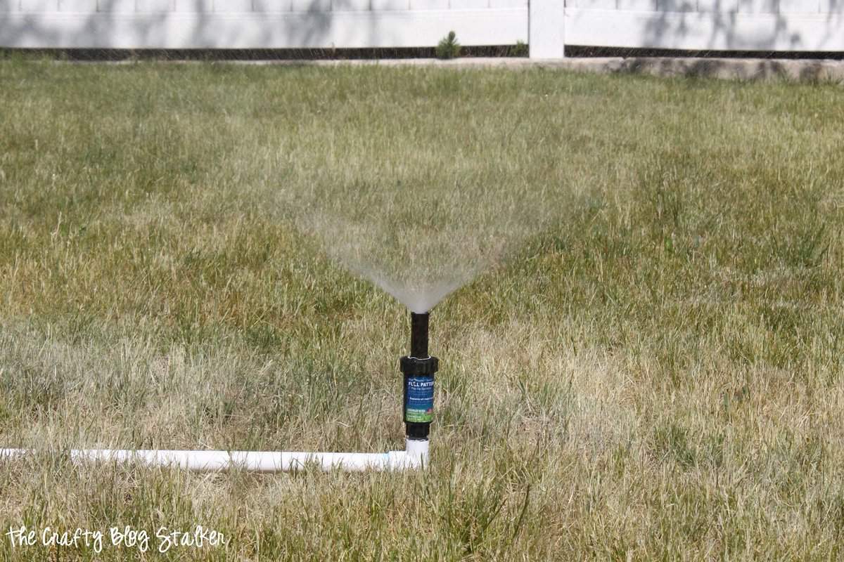 Above-Ground Sprinkler on a lawn.