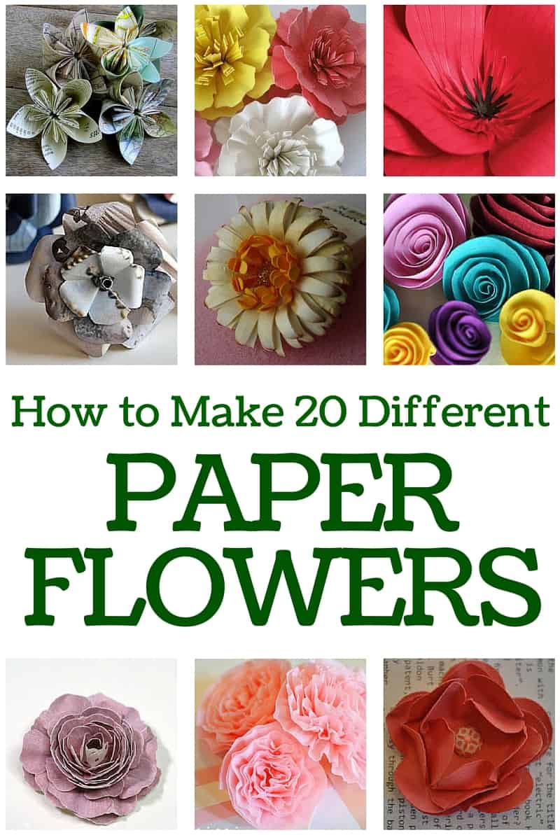 Make your own bouquet of beautiful paper flowers. Simple DIY craft tutorial ideas will show you the many different types of flowers you can make!