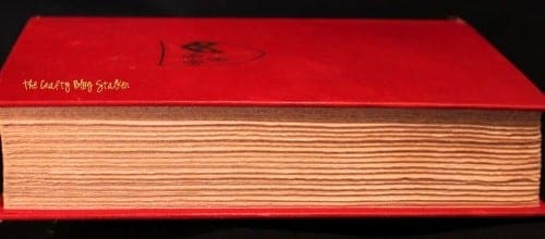 the side view of an old book with uneven pages