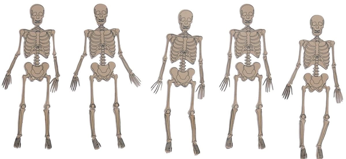 Five assembled kraft paper skeletons with movable arms and legs arranged in different poses on a white background.