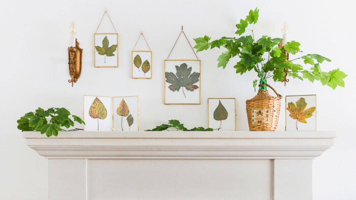 Fall mantel decorated with framed pressed leaves, fresh greenery, and a wicker vase for a simple and natural seasonal display.