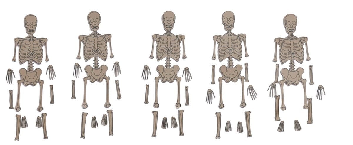 Five paper skeletons with separate arm, hand, and leg pieces arranged on a white background for a Halloween skeleton banner.