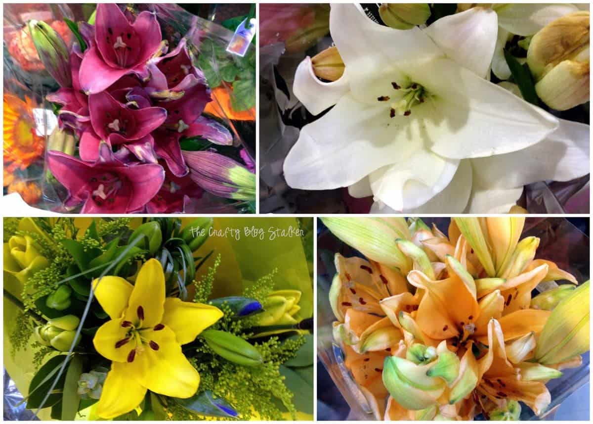 a collage of different colored lilies in pink, white, yellow and orange