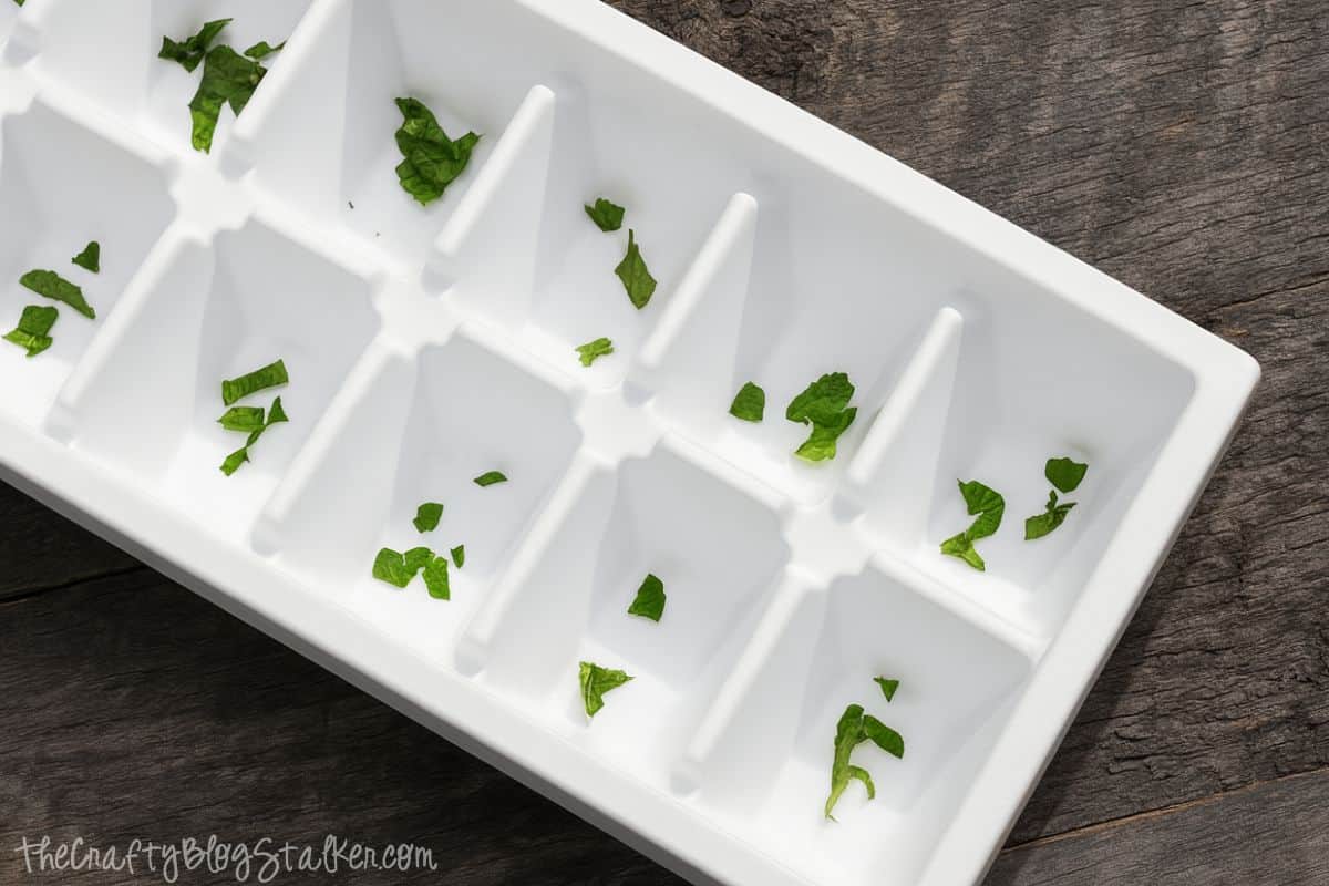 A white ice cube tray with chopped fresh mint leaves placed in each compartment, sitting on a rustic wooden surface.