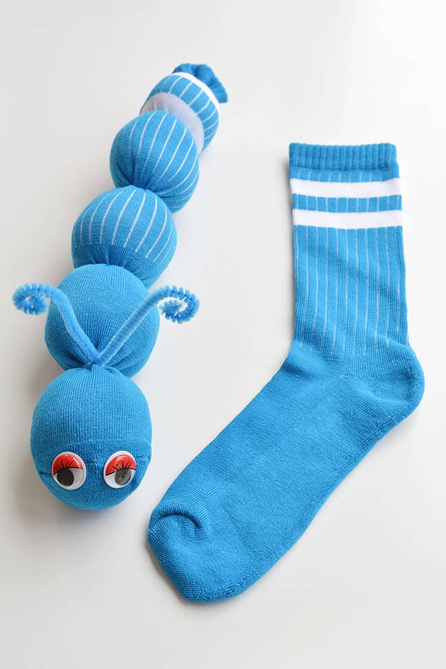 sock worm