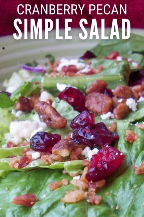 title image for How to Make a Simple Cranberry Pecan Salad with Bacon