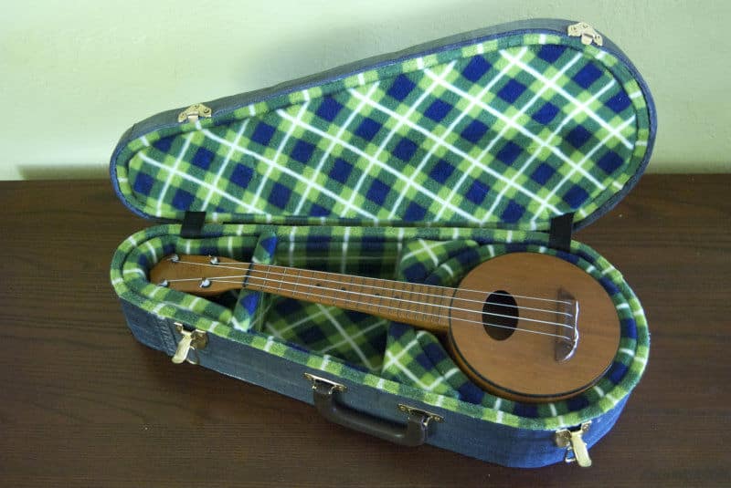 A Cardboard Ukulele Case.