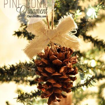 Make a simple Pine Cone Ornament using just pine cones and drop cloth! Perfect for your Rustic Decor