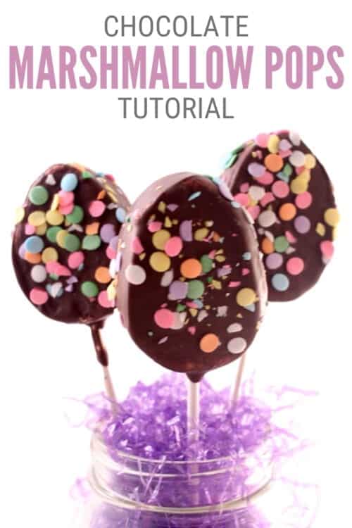 title image for How to Make Chocolate Covered Marshmallow on a Stick Recipe