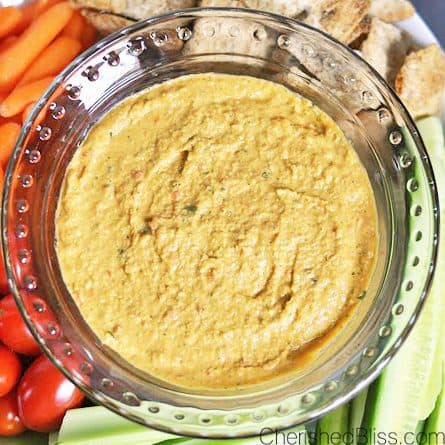 Roasted Red Pepper, Tomatillo and Cilantro Hummus Recipe