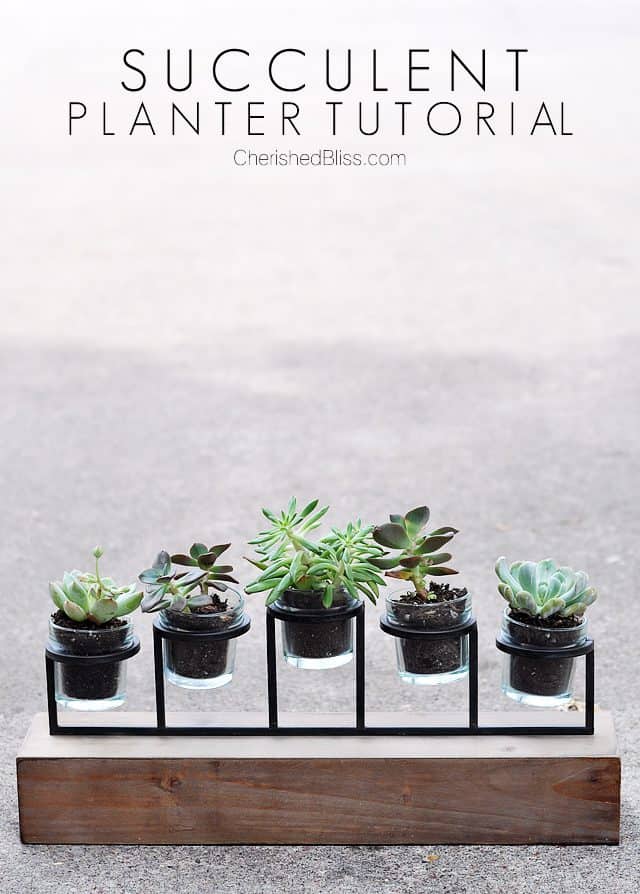 From a candle holder to a succulent planter. This simple tutorial will bring nature inside with minimal care required! From a candle holder to a succulent planter. This simple tutorial will bring nature inside with minimal care required!