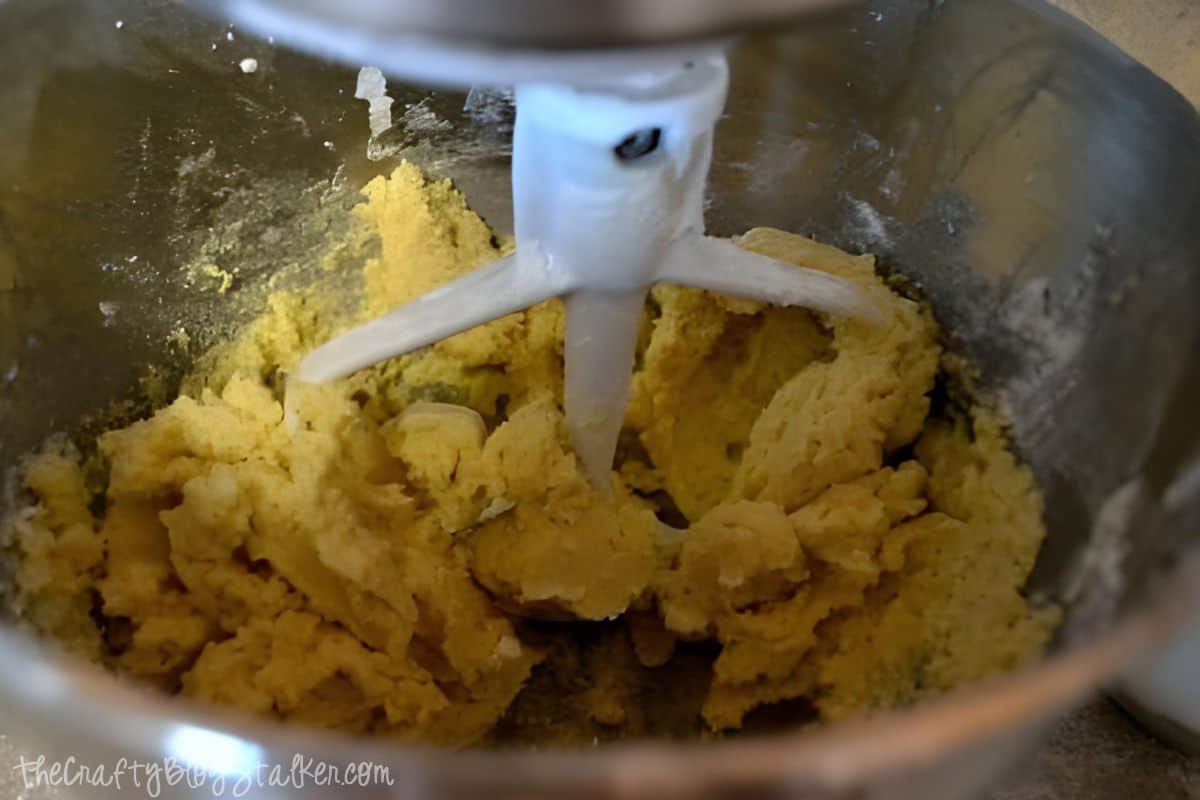 Mixer with all ingredients combined.