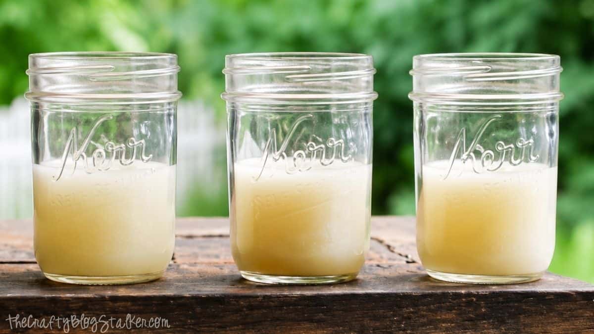 Drie zelfgemaakte citronellakaarsen koelen af ​​in glazen potten op een houten tafel buiten, klaar om muggen op afstand te houden.