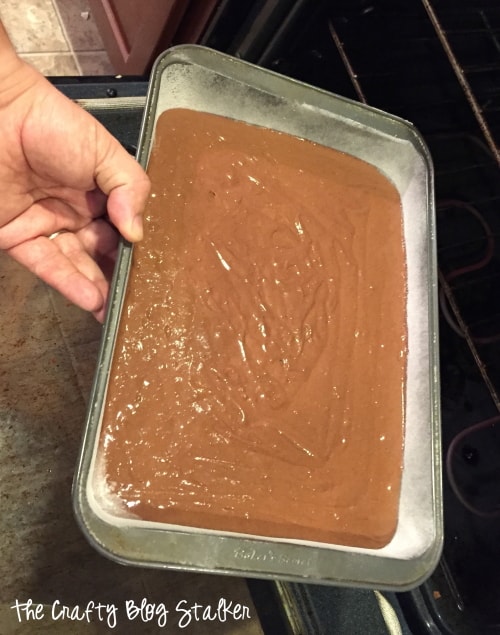 placing a cake pan filled with cake batter into the oven