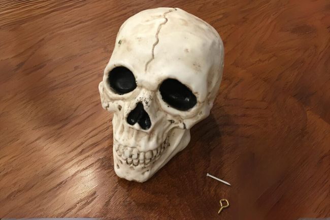 Plastic halloween skull with a nail and eye screw.