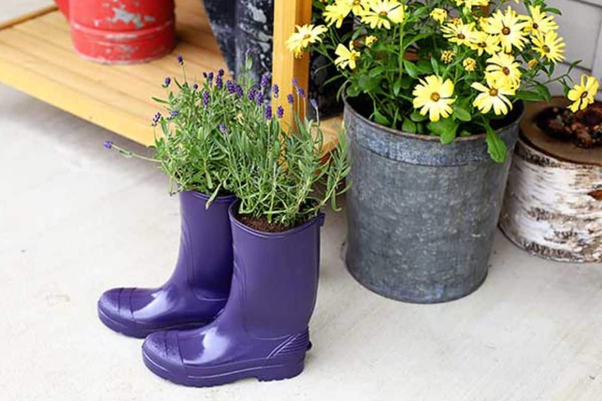 Rubber Boot Planters.