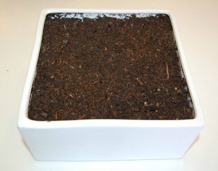 A square container filled with soil.