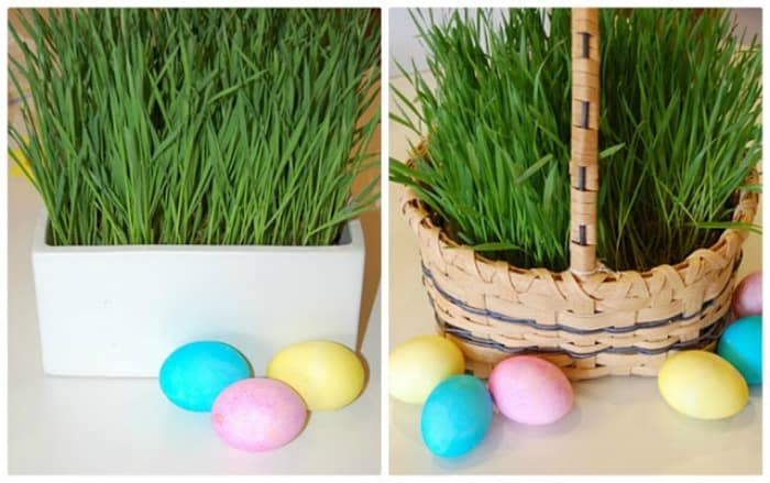 Collage image with an easter basket, and a ceramic container holding wheat grass and dyed easter eggs.
