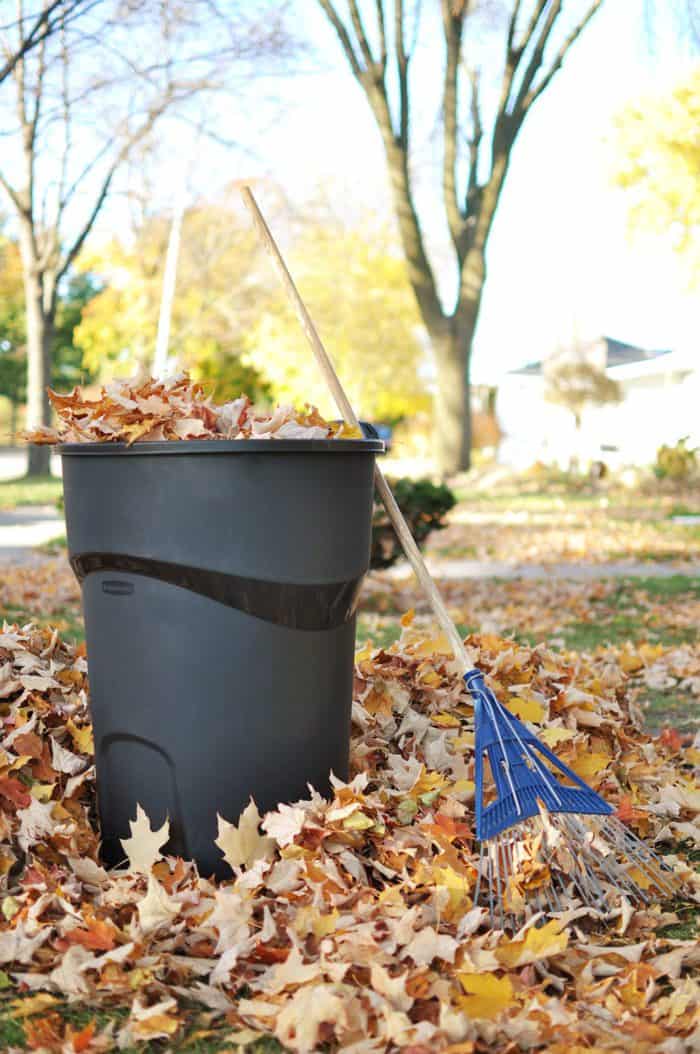 Why It's Important to Teach Kids to Rake Leaves Why It's Important to Teach Kids to Rake Leaves