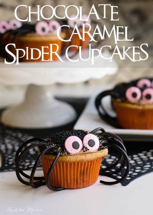 spider cupcakes