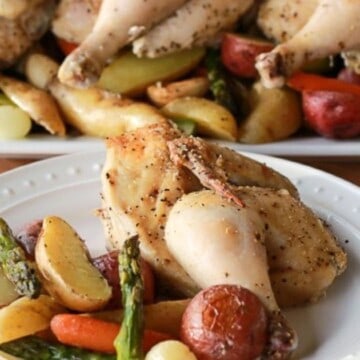 roasted cornish hens with vegetables 10 1