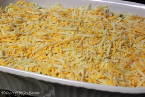 a casserole covered with cheese