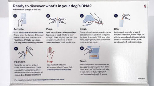 My Dog DNA Test Results Revealed