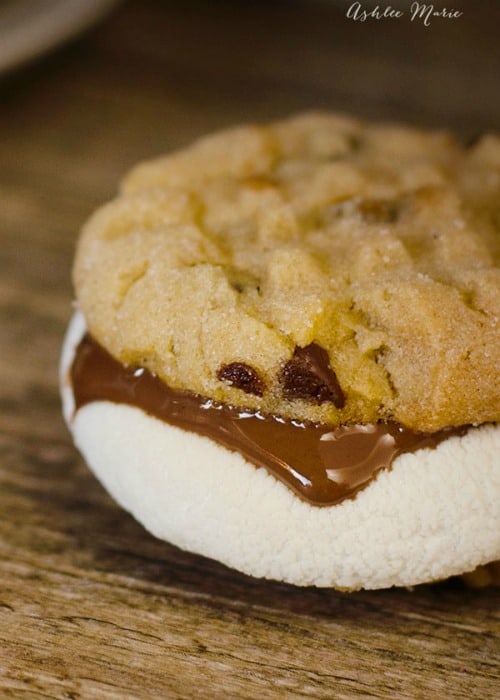 S'mores aren't just for camping! Enjoy your favorite fireside treat any day of the year, make cookies, cake and even ice cream S'mores recipes. Yum!