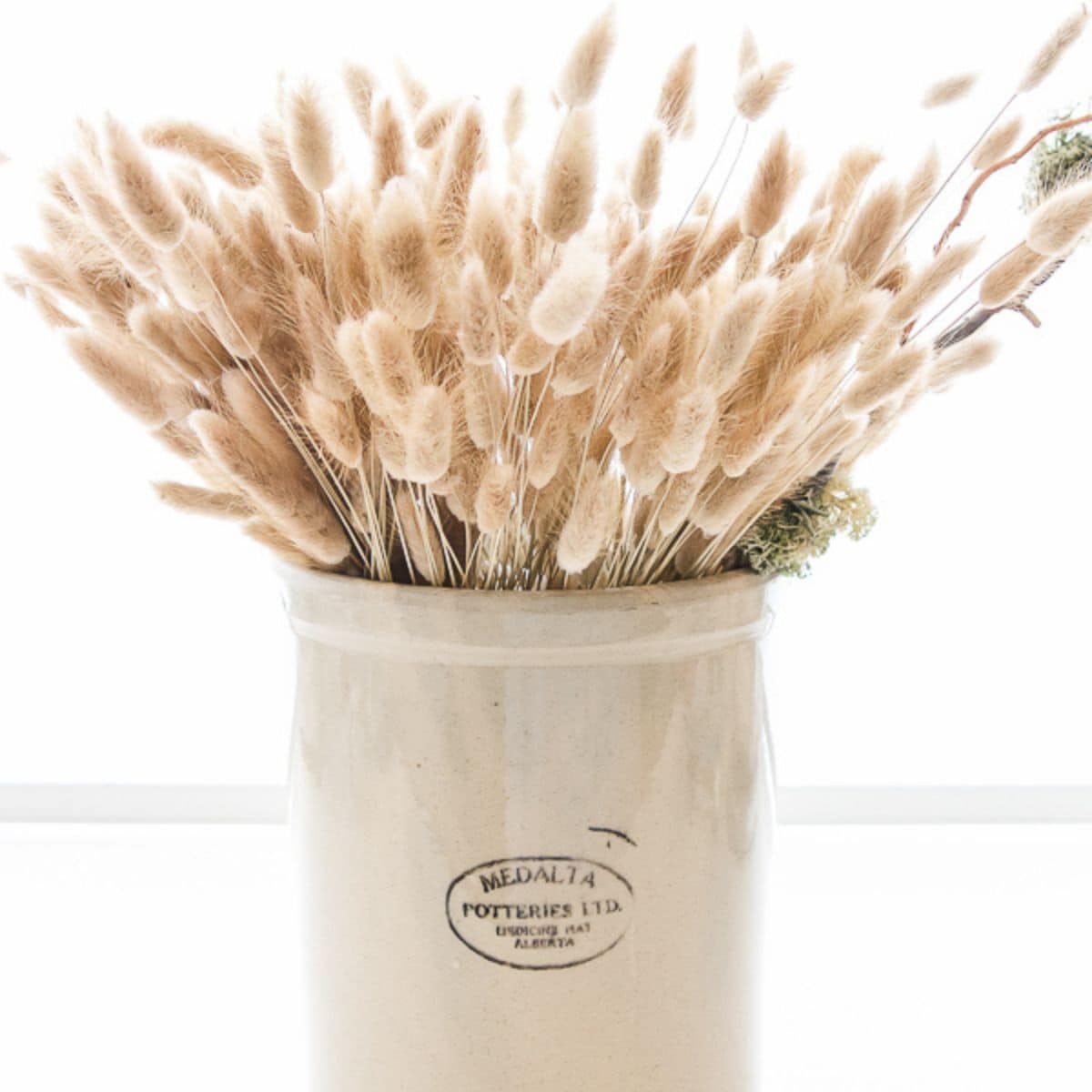Vintage pottery crock filled with soft beige dried bunny tail grass, creating a simple neutral fall floral arrangement.