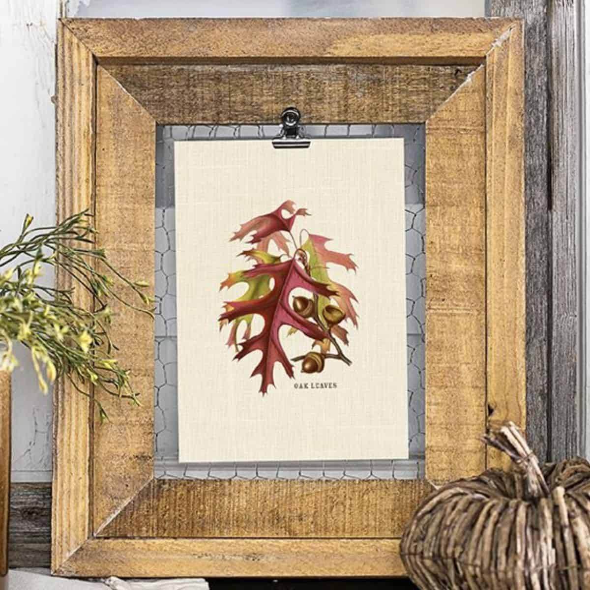 Rustic wood frame displaying a fall printable with red and green oak leaves and acorns, styled with a woven pumpkin and greenery.