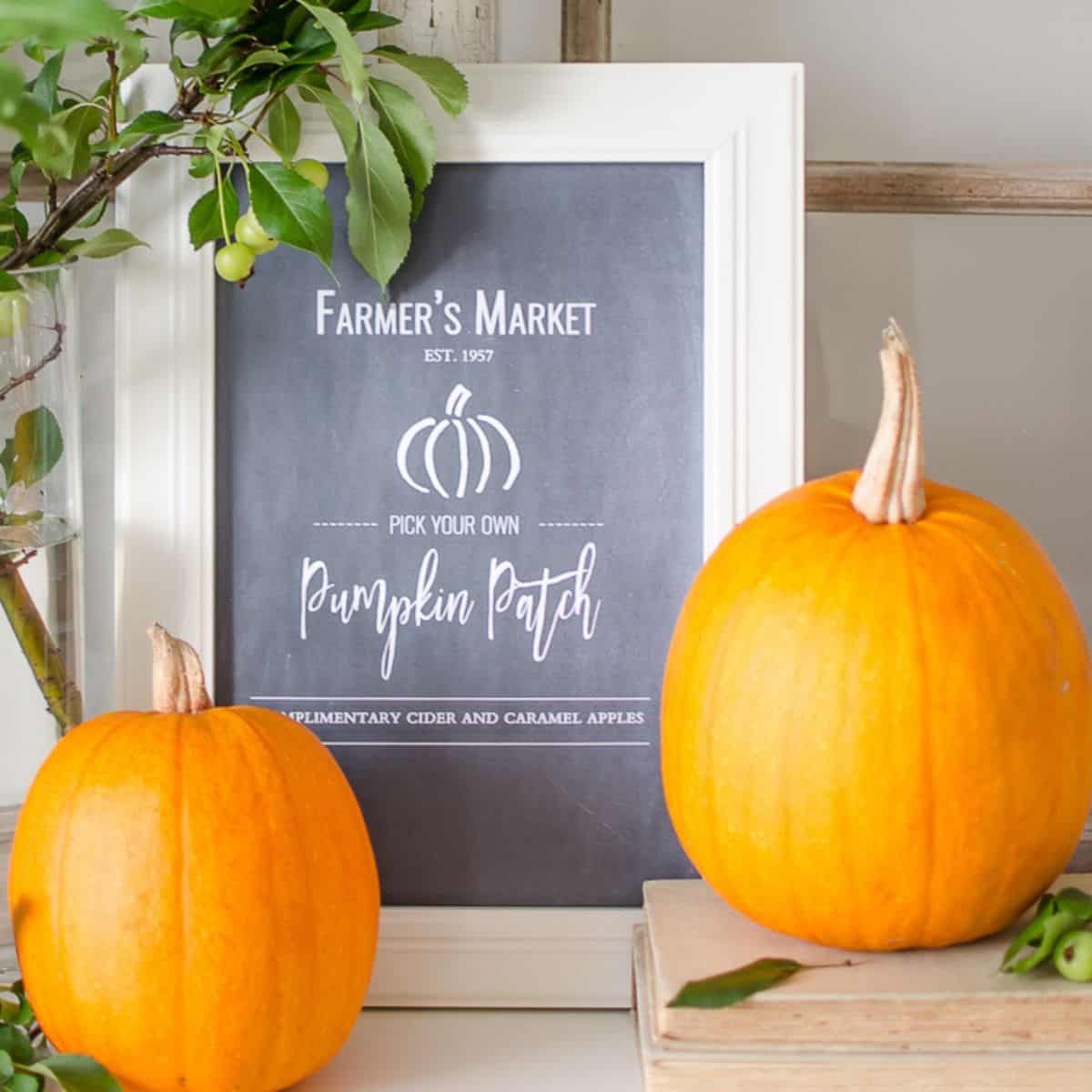 Framed Farmer's Market pumpkin patch printable displayed with two orange pumpkins, green branches, and stacked books for fall decor.