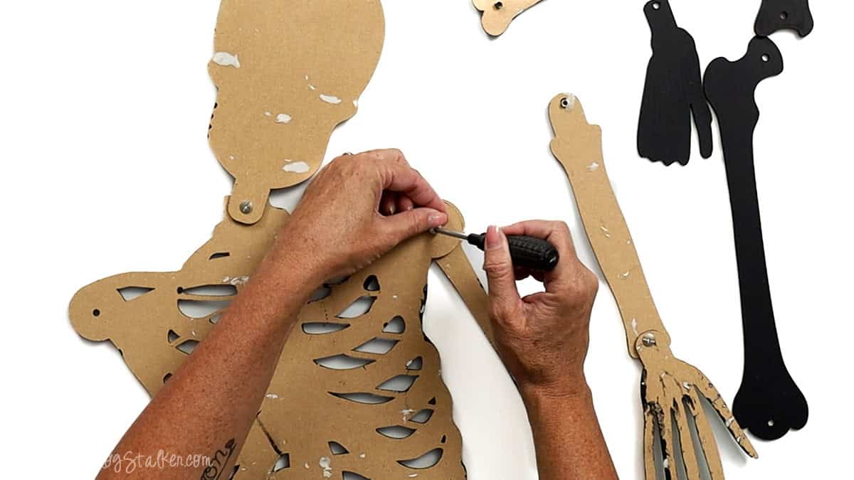 Hands using a screwdriver to attach an arm piece to the back of a laser cut skeleton torso, securing the joint with screws for movement.