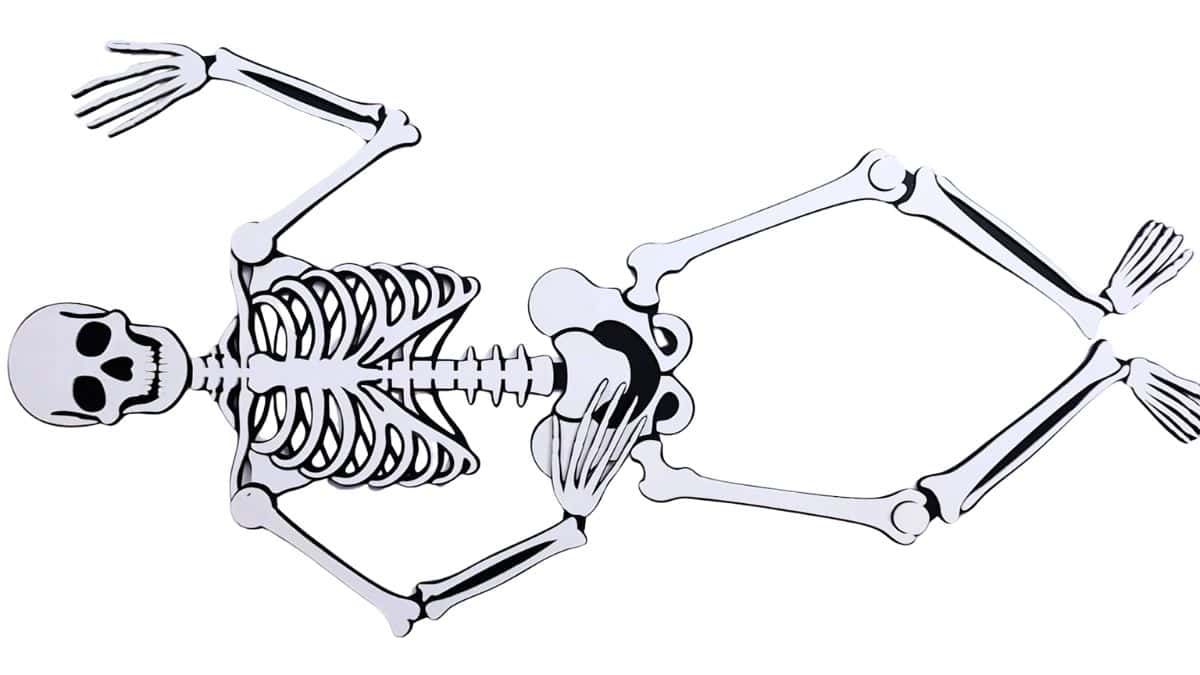 A completed jointed mdf skeleton craft is laid flat, fully assembled with movable arms and legs, ready for posing or Halloween decoration.