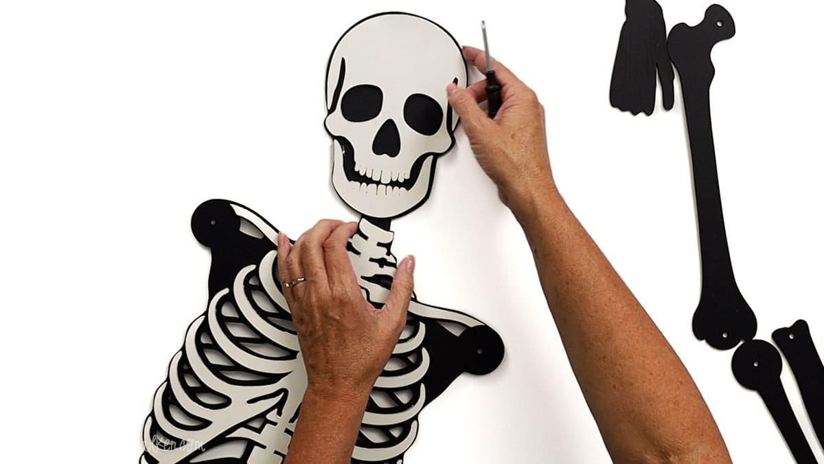 Hands attaching the skull to the ribcage of a laser cut skeleton using a screw and screwdriver, creating a jointed neck for the posable skeleton craft.