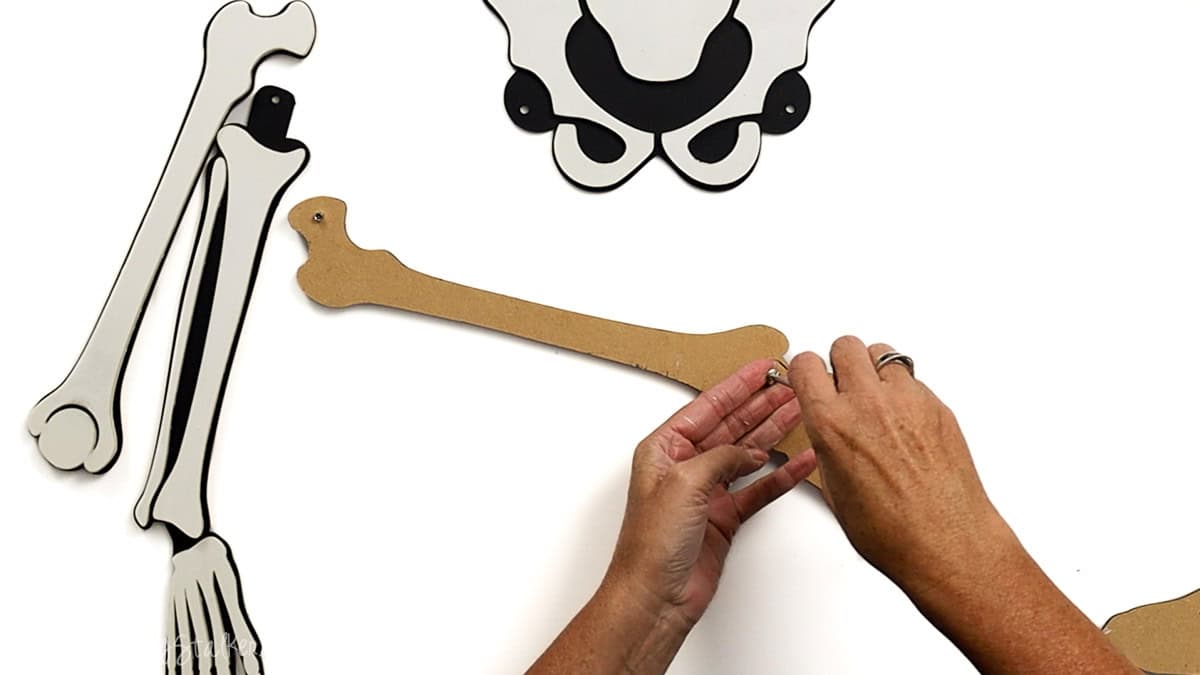 Hands attaching skeleton leg pieces with a screw casing, connecting the upper leg to the hip joint, with other assembled skeleton parts visible nearby.