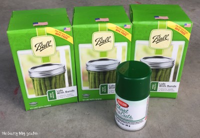 canning lids and green spray paint