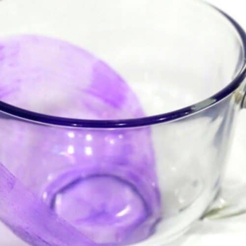 How to Make an Empty Water Bottle Dog Toy Cruncher