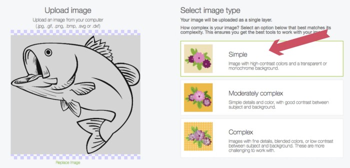 Screen shot showing where to select in Cricut Design Space to upload an image.