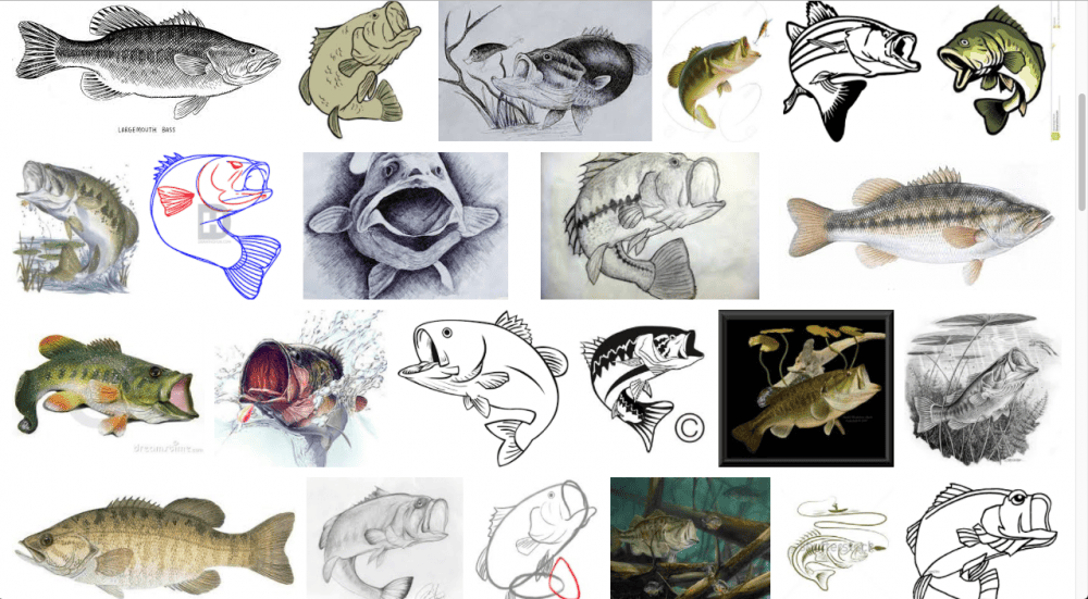 Screen shot of a google search result for fish images.