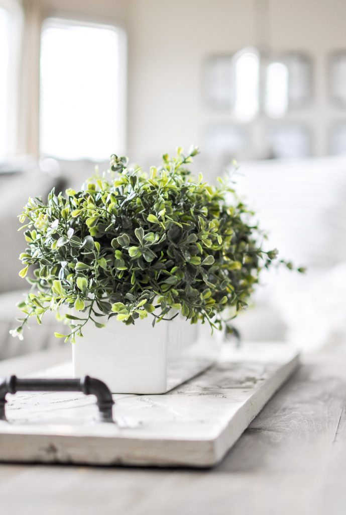 Learn how to create this gorgeous DIY Concrete Tray & some tips for working with concrete. Create different shapes and customize with handles! Learn how to create this gorgeous DIY Concrete Tray & some tips for working with concrete. Create different shapes and customize with handles!