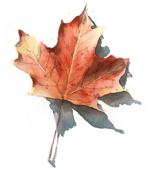 finished realistic watercolor fall leaf