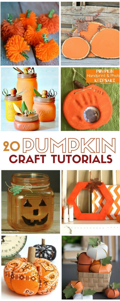 20 Pumpkin Craft Tutorials - The Crafty Blog Stalker